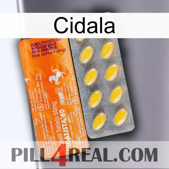 Cidala new05
